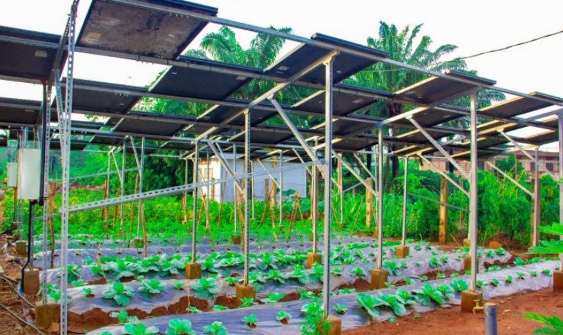 Centre Songhai, Near Porto-Novo, Benin